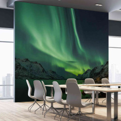 Panoramic Wallpaper Arctic...