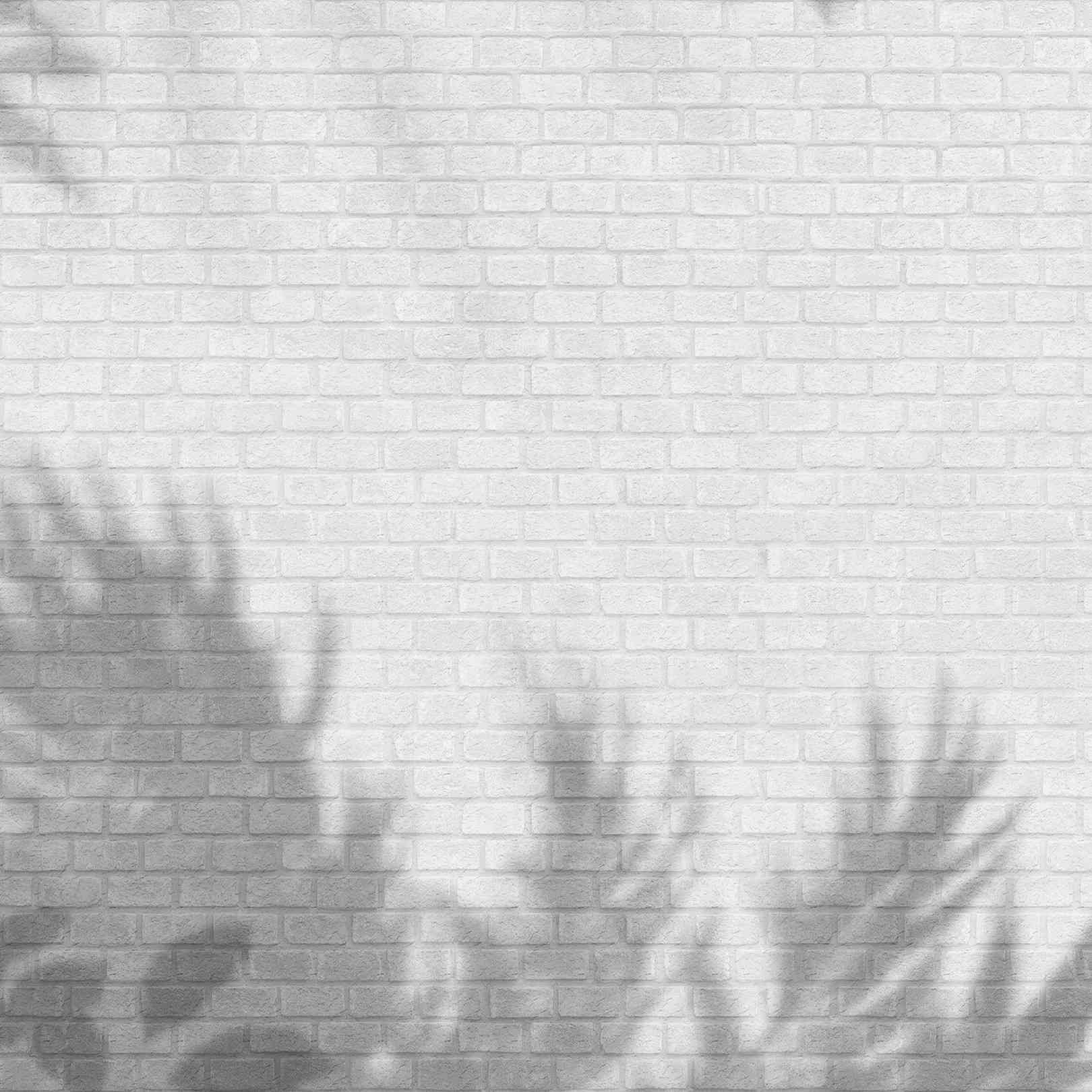 Panoramic wallpaper Shadow...