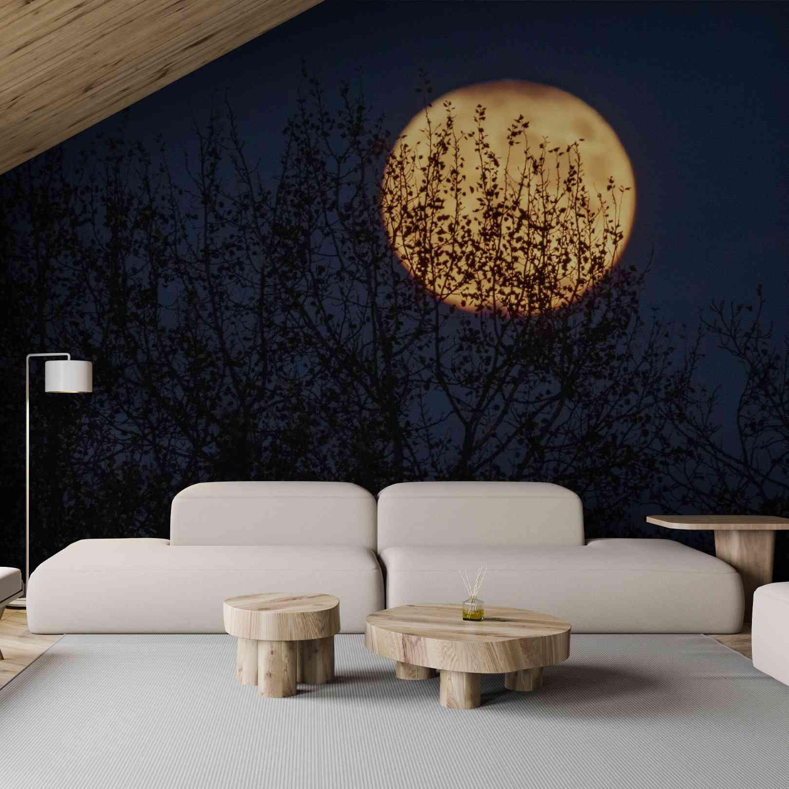 Panoramic Wallpaper Luna