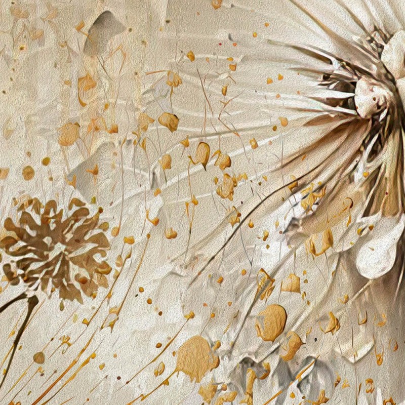 Papier Peint Panoramique pour Salon | WallDreamer